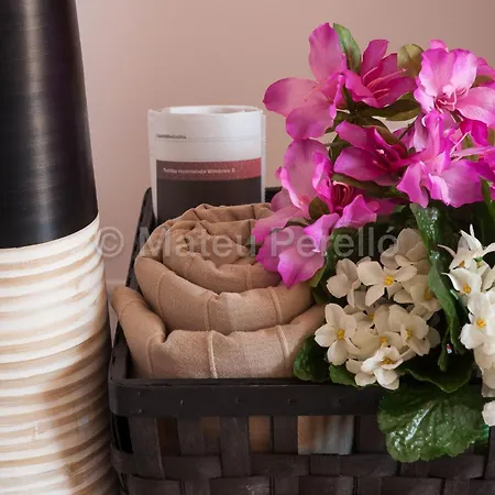 Charmante In Son Baulo Mit Grill By Interhome Apartment